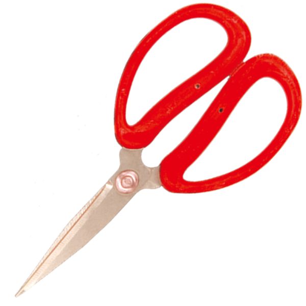 Shears, Cutting